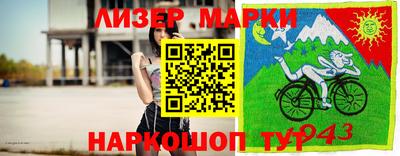 прущие грибы Кандалакша