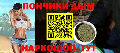 прущие грибы Кандалакша