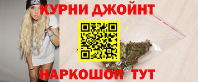 прущие грибы Кандалакша