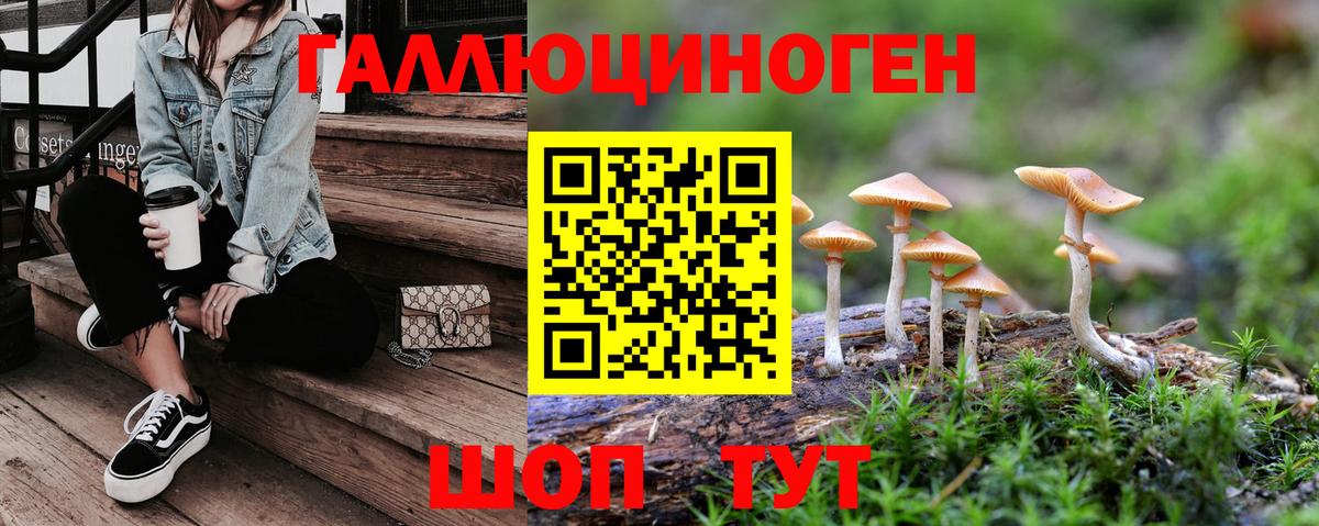Волгодонск  Галлюциногенные грибы Cubensis  как найти   Вход с VPN 